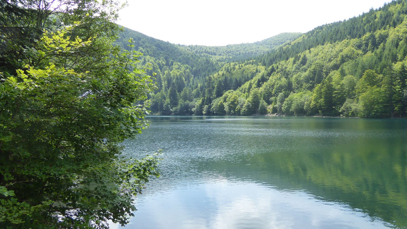 Lac du grand ballon dans le massif des Vosges