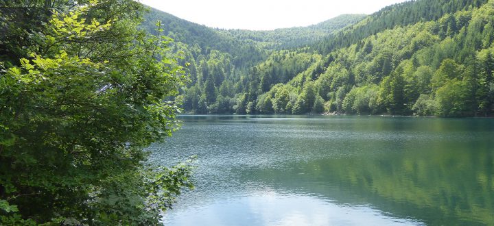 Lac du grand ballon dans le massif des Vosges